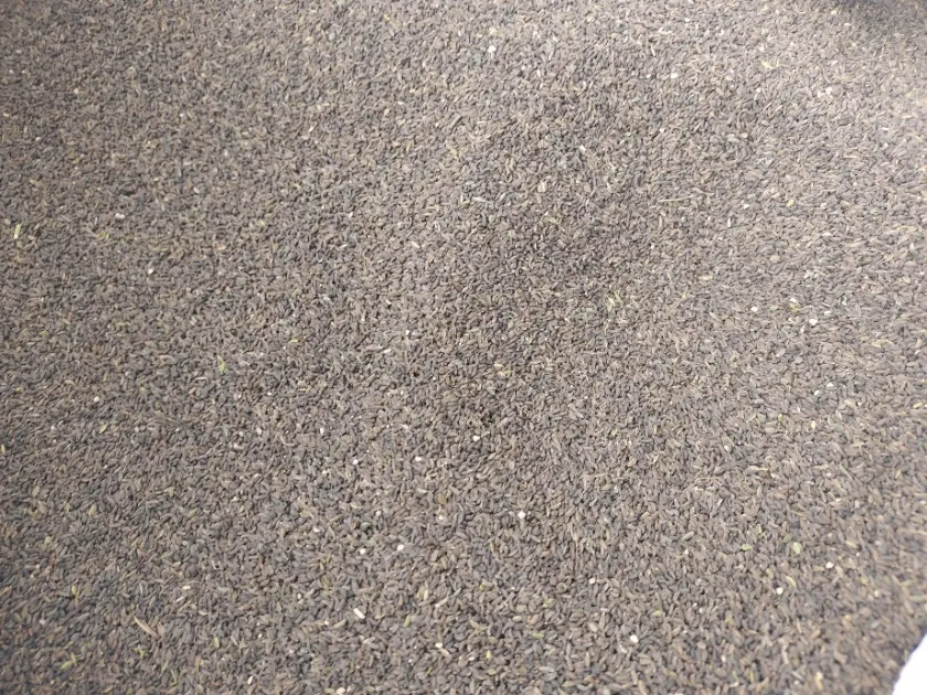 2026年4月16日文峰康美中药材市场快讯