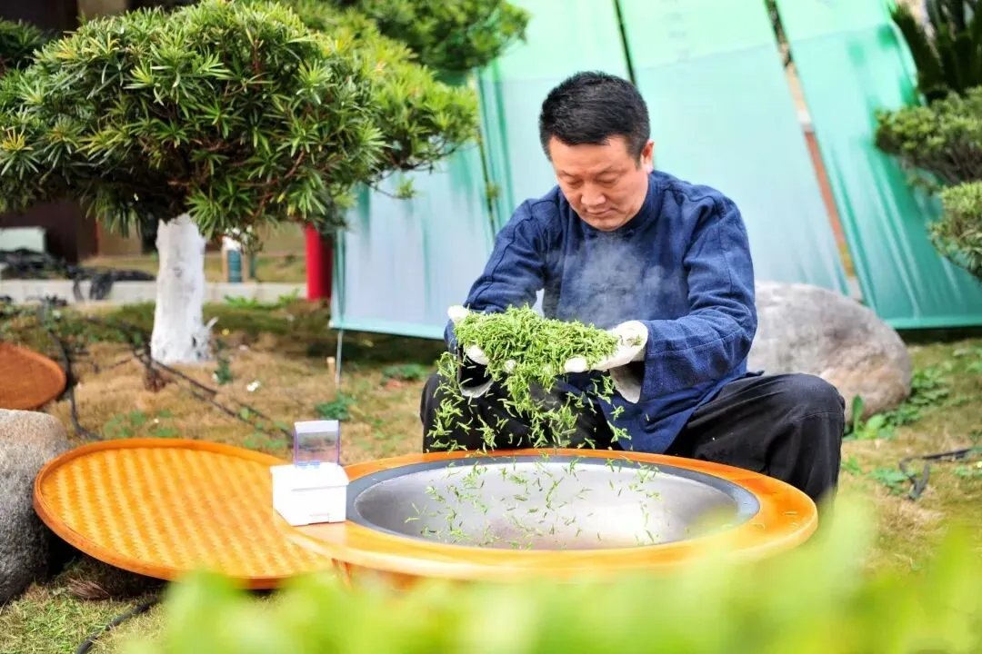 茶叶市场越来越卷,出路在哪里?来自湖北茶区的真实记录