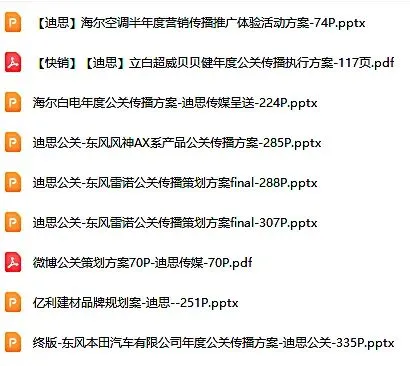 迪思营销方案与世界500强企业宣传册