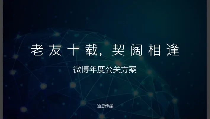 迪思营销方案与世界500强企业宣传册