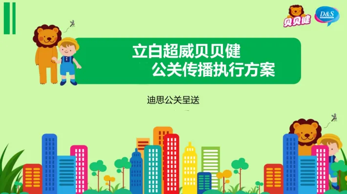 迪思营销方案与世界500强企业宣传册