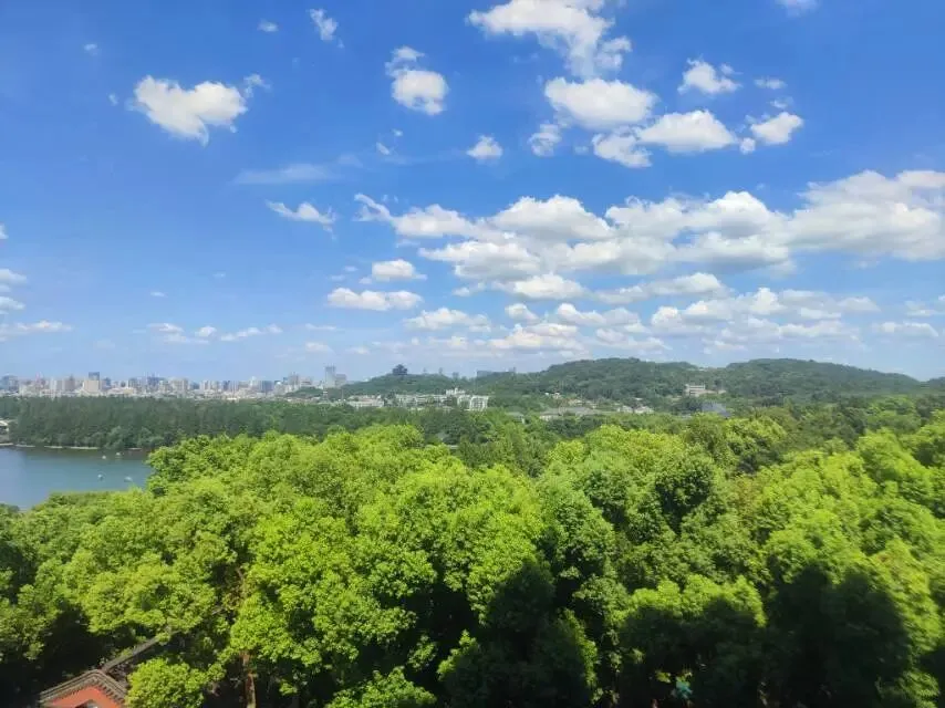 反保险欺诈丨4.4万张假病假单流入市场!不用AI,肉眼3秒识破“一眼假”