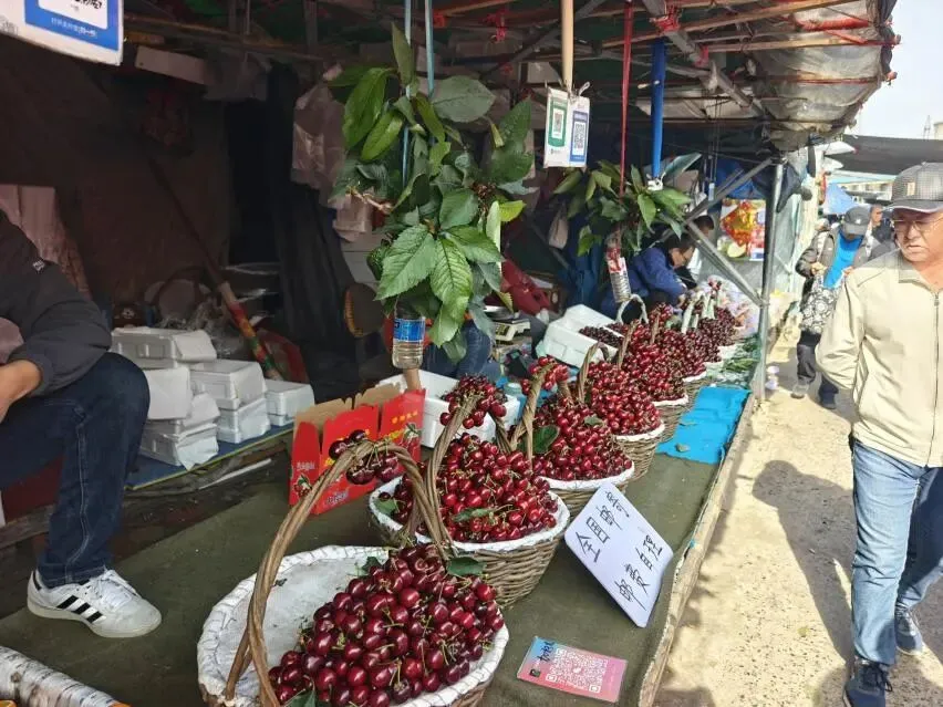 抢占“鲜”机!西南路综合市场樱桃季提前开启,甜蜜经济升温