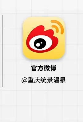 统景公司品牌营销服务及官方抖音账号代运营项目比选公告