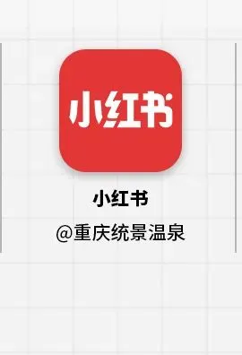 统景公司品牌营销服务及官方抖音账号代运营项目比选公告