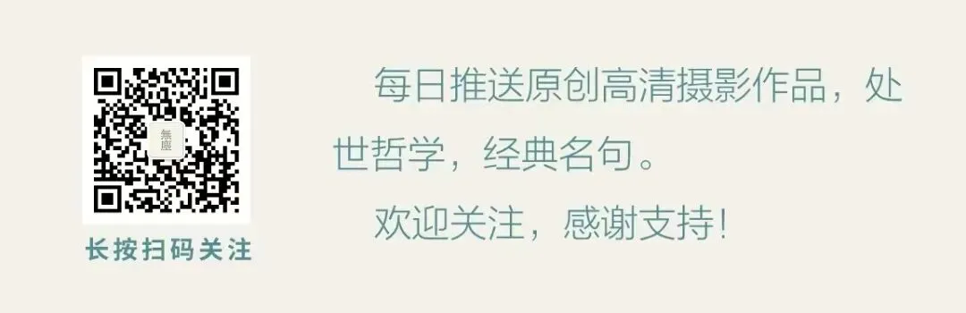 只限女性!金徽酒武山市场高薪诚聘