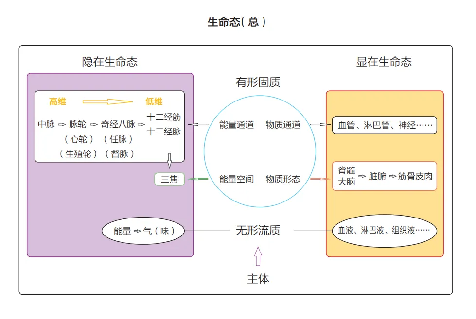 不懂营销、没有客源——小白开健康工作室的底气,全靠这三点!