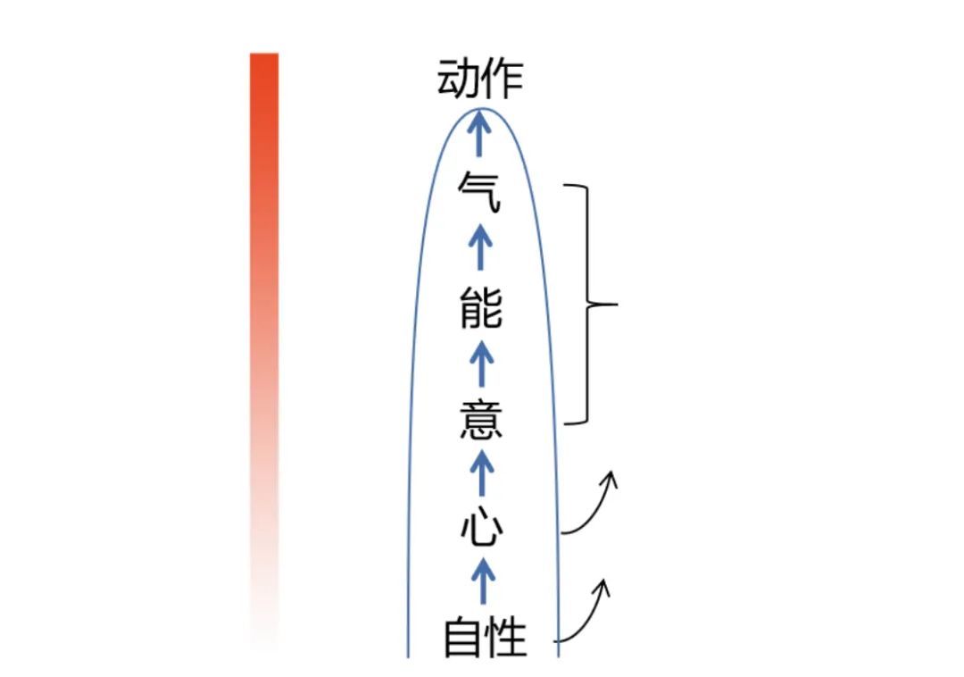 不懂营销、没有客源——小白开健康工作室的底气,全靠这三点!