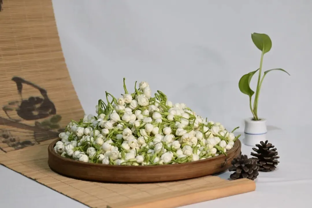 浅谈市场低价茉莉花茶乱象