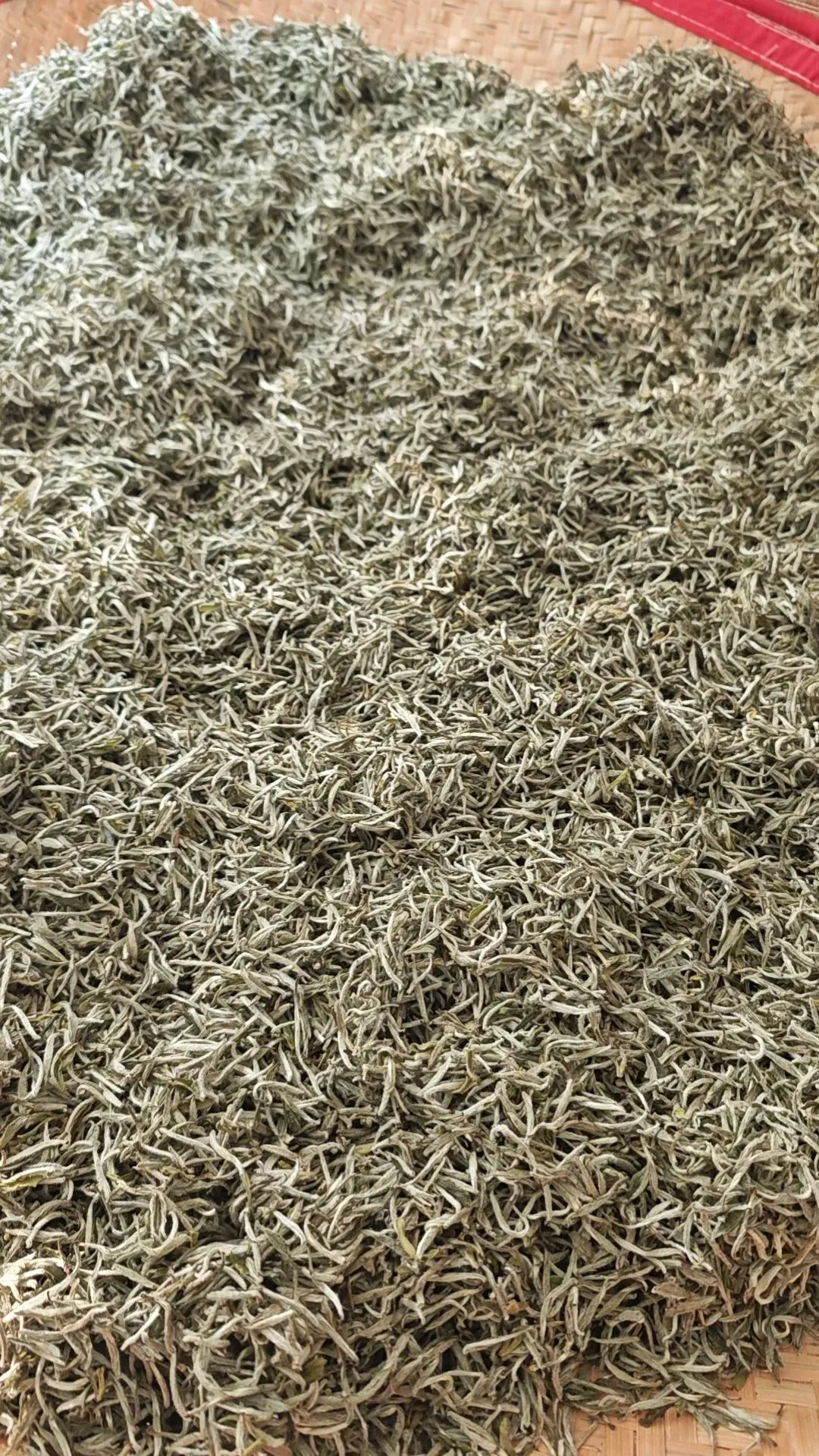 浅谈市场低价茉莉花茶乱象