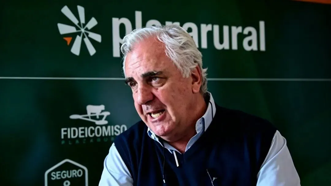 全球牛肉市场临近“临界点”  牛价峰值或于2027年出现