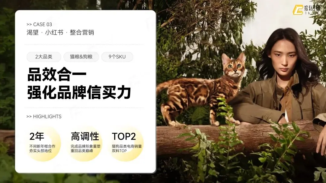 拾刻互动|社交整合营销业务介绍