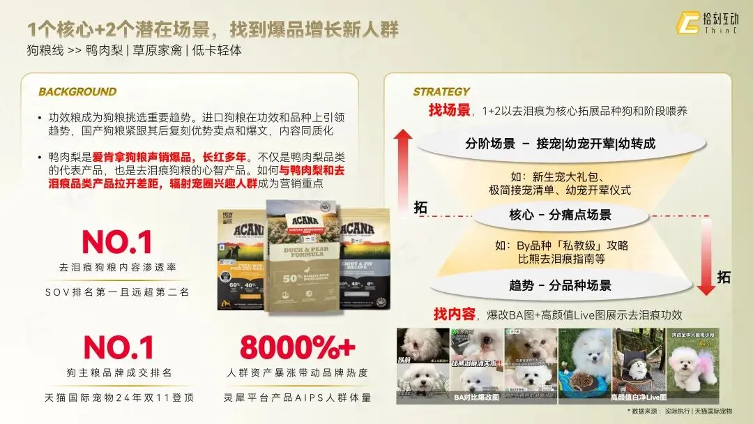 拾刻互动|社交整合营销业务介绍