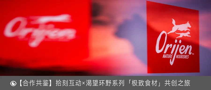 拾刻互动|社交整合营销业务介绍