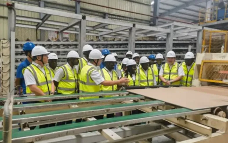 中企出海坦赞市场,这些品类赛道值得重点布局!