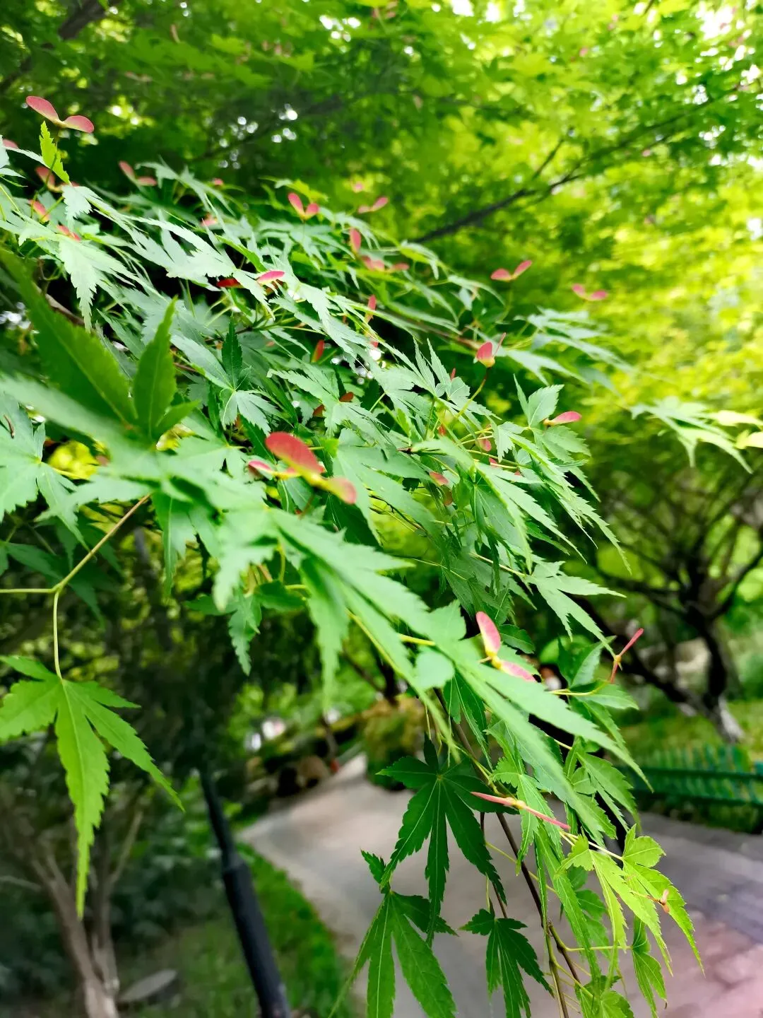 杭州旅游市场乱象:游千岛湖前奏