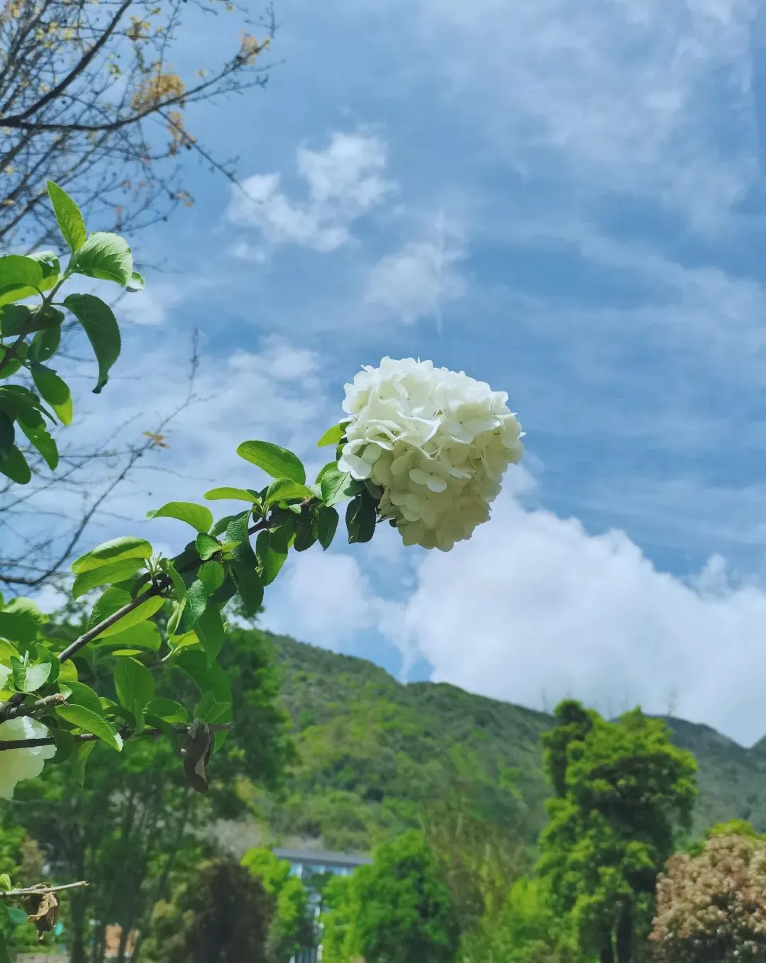 杭州旅游市场乱象:游千岛湖前奏