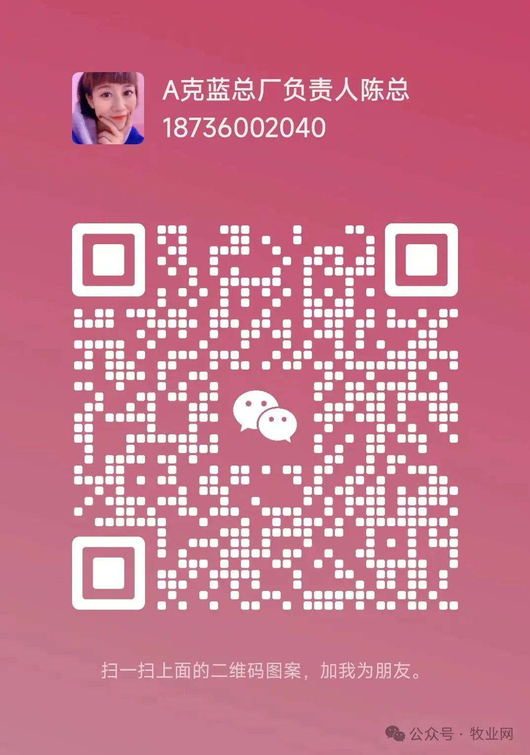 2026年4月17日仔猪市场信息参考