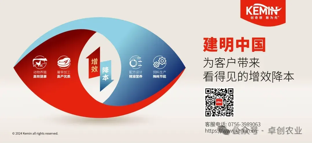 “纸”南针:纱管纸:一季度市场价格波动有限,二季度或以下滑为主