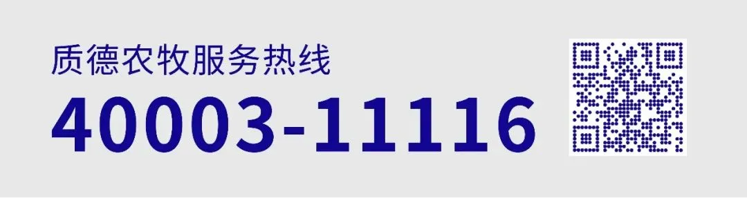 政策收储托底见效,市场情绪反转助推全国猪价止跌普涨