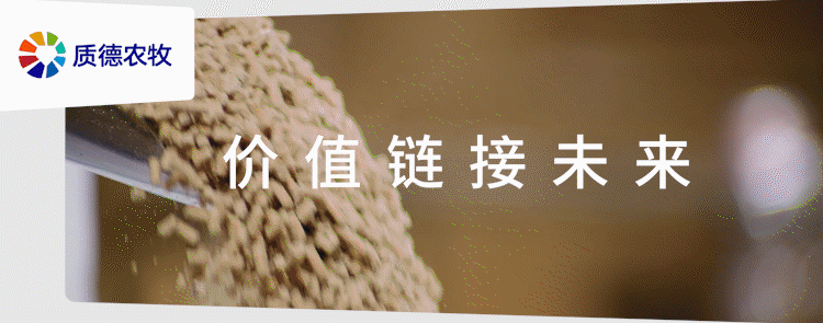 政策收储托底见效,市场情绪反转助推全国猪价止跌普涨