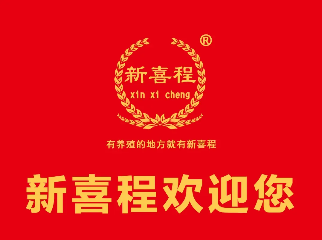 上升!4.18生猪市场信息分享