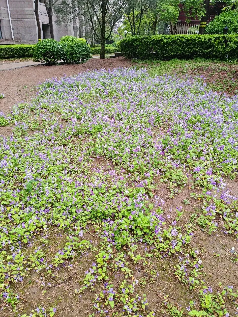 第四次工业革命科技创新|金融市场继续拥抱科技创业板,CPO 光模块 中际旭创交出历史超预期 Q1 财报