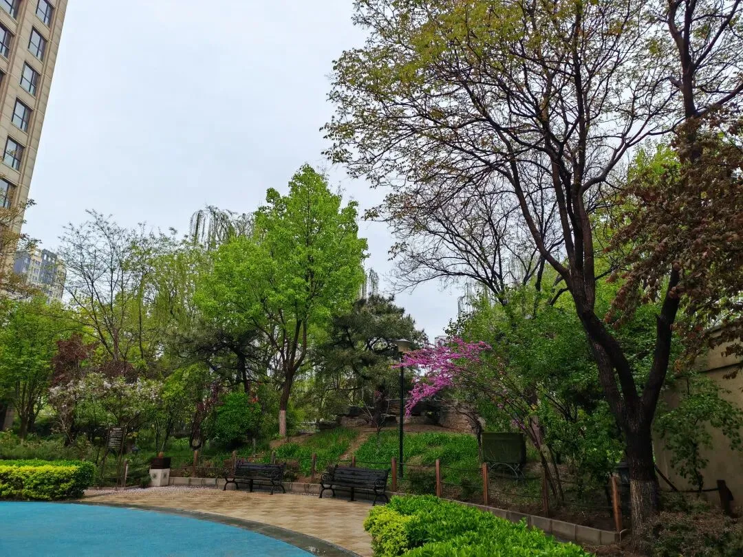 第四次工业革命科技创新|金融市场继续拥抱科技创业板,CPO 光模块 中际旭创交出历史超预期 Q1 财报