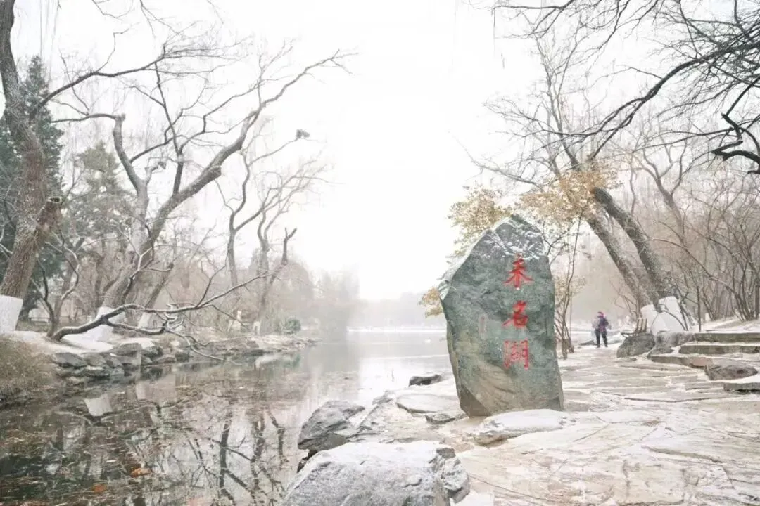 第四次工业革命科技创新|金融市场继续拥抱科技创业板,CPO 光模块 中际旭创交出历史超预期 Q1 财报