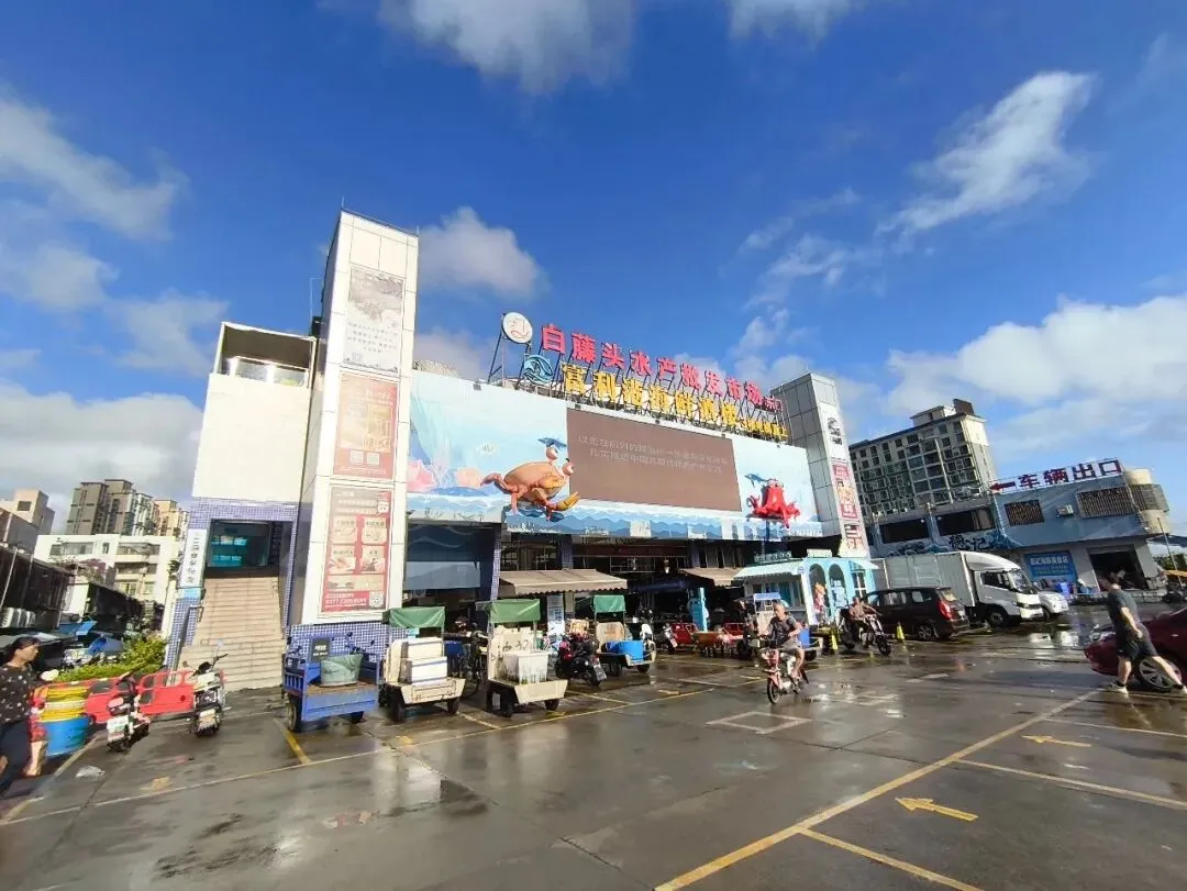 珠海白藤头海鲜市场全攻略|10 款平价海鲜闭眼入不踩雷!从选品到加工,手把手教你吃遍鲜货