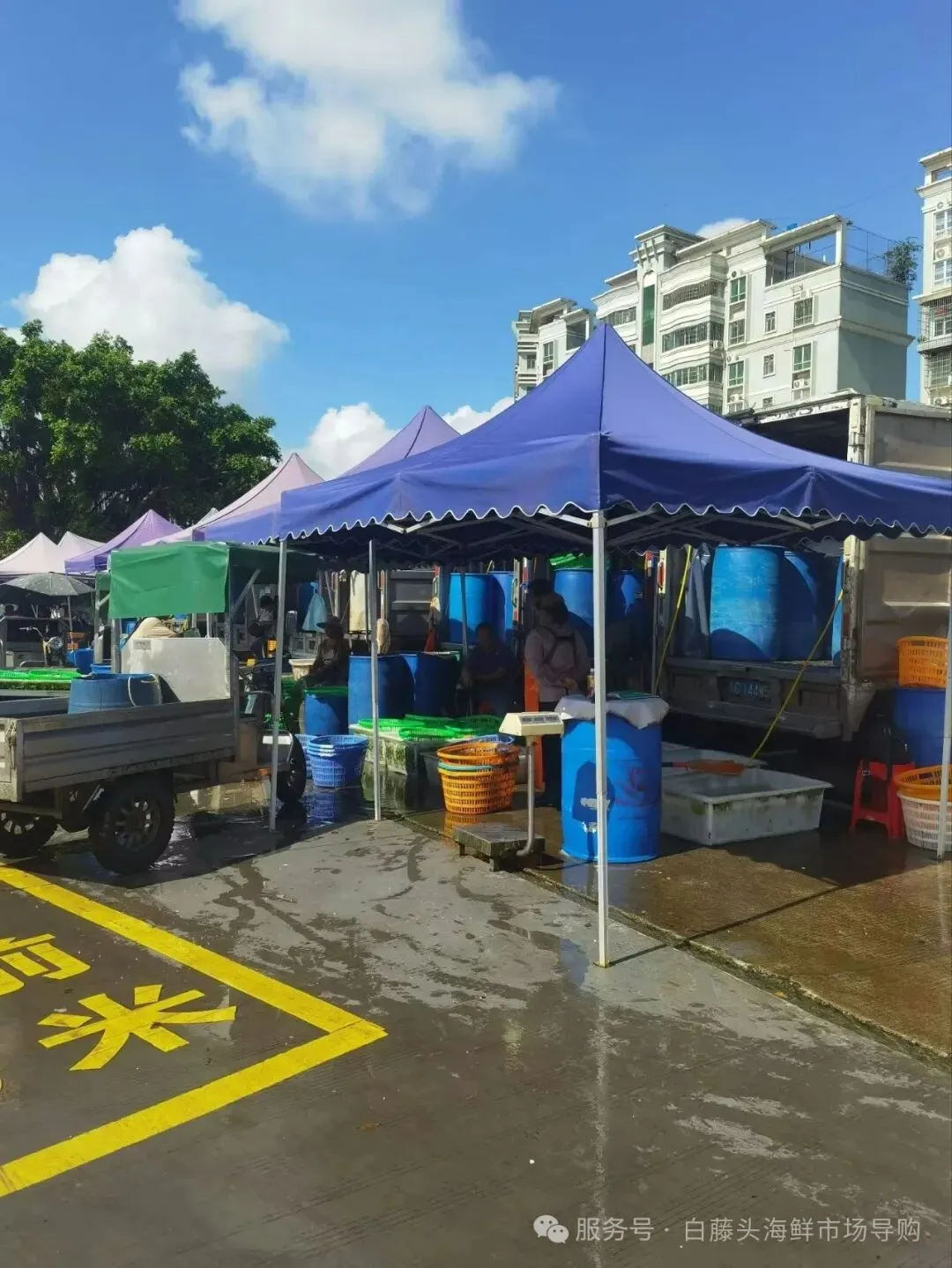珠海白藤头海鲜市场全攻略|10 款平价海鲜闭眼入不踩雷!从选品到加工,手把手教你吃遍鲜货