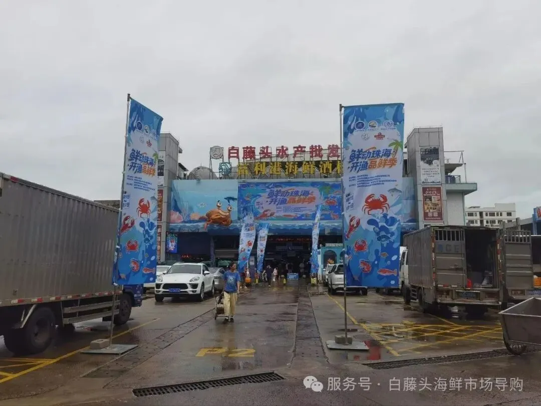 珠海白藤头海鲜市场全攻略|10 款平价海鲜闭眼入不踩雷!从选品到加工,手把手教你吃遍鲜货