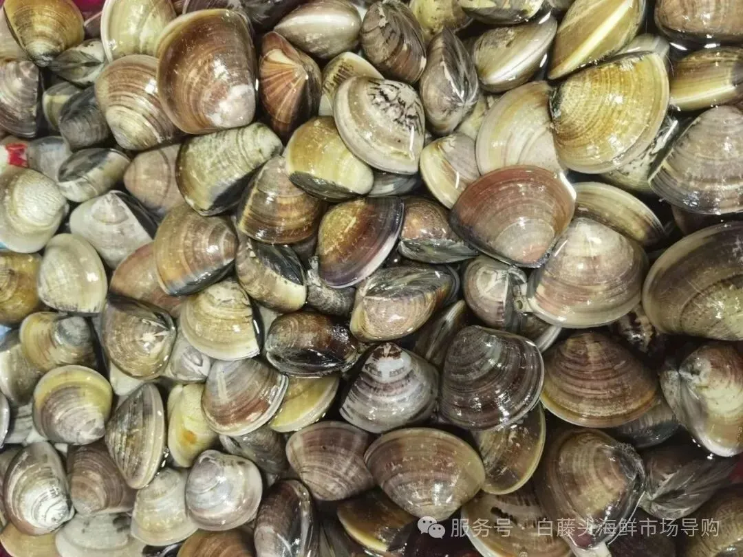 珠海白藤头海鲜市场全攻略|10 款平价海鲜闭眼入不踩雷!从选品到加工,手把手教你吃遍鲜货