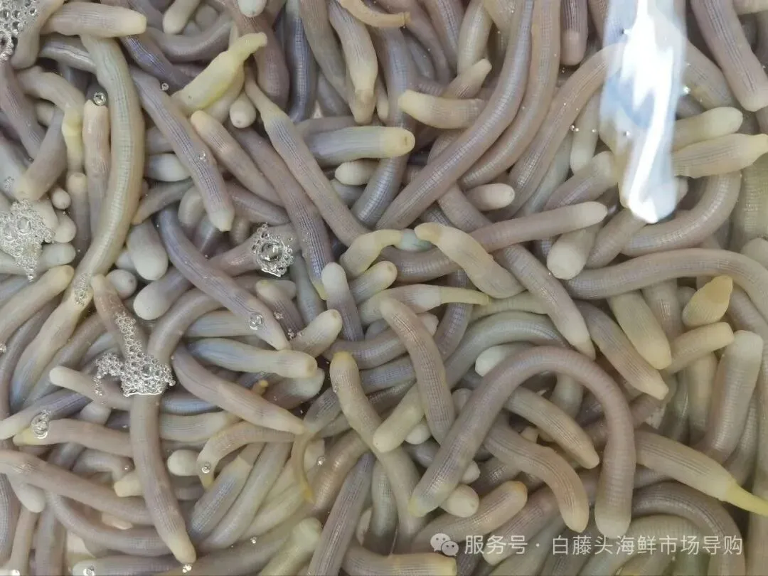 珠海白藤头海鲜市场全攻略|10 款平价海鲜闭眼入不踩雷!从选品到加工,手把手教你吃遍鲜货