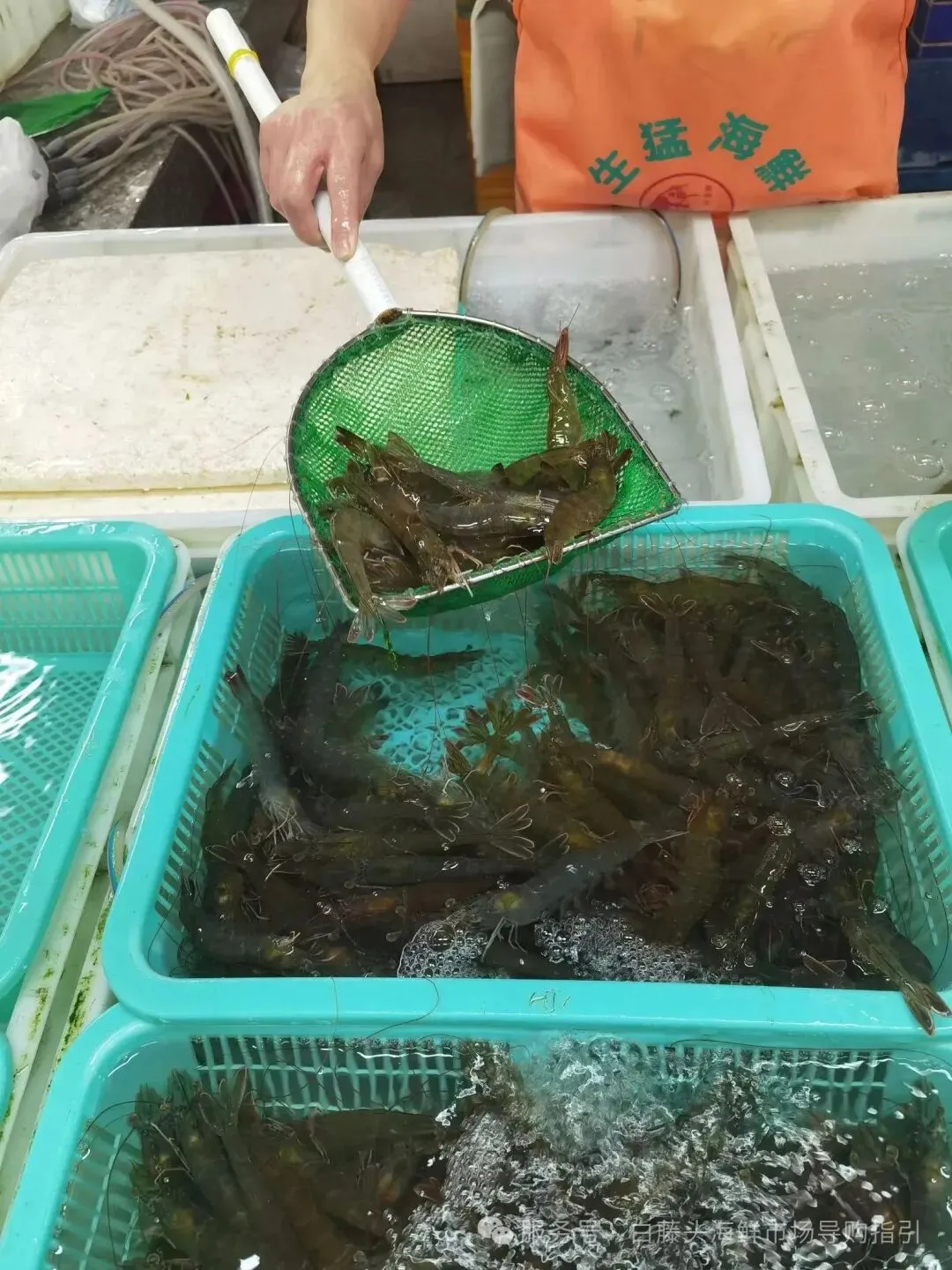 珠海白藤头海鲜市场全攻略|10 款平价海鲜闭眼入不踩雷!从选品到加工,手把手教你吃遍鲜货