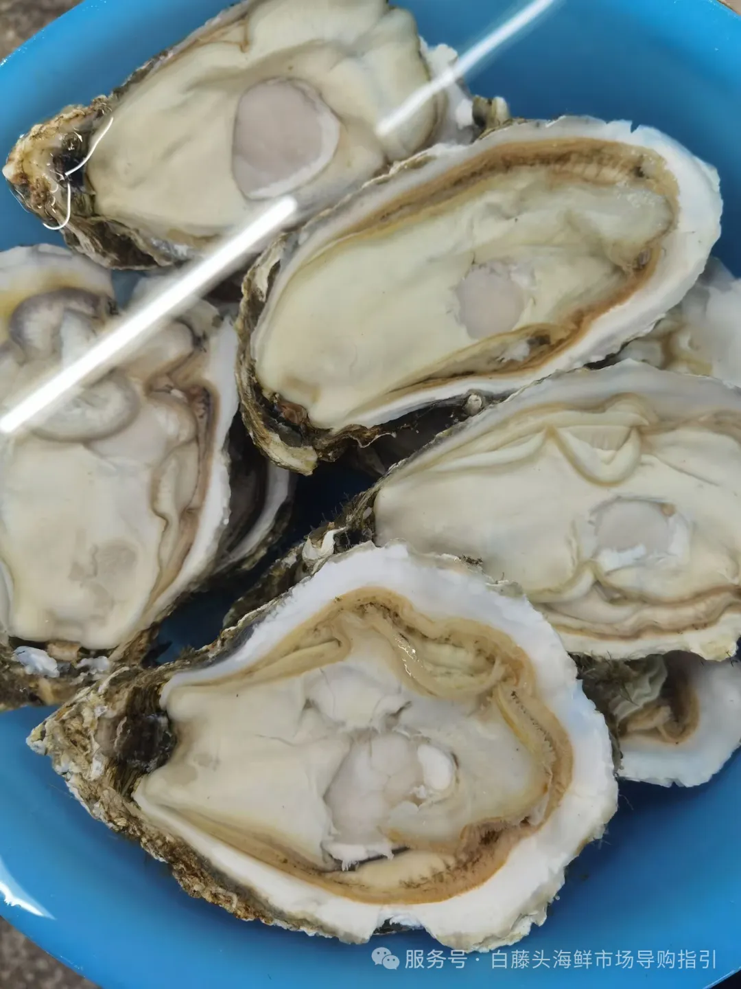 珠海白藤头海鲜市场全攻略|10 款平价海鲜闭眼入不踩雷!从选品到加工,手把手教你吃遍鲜货