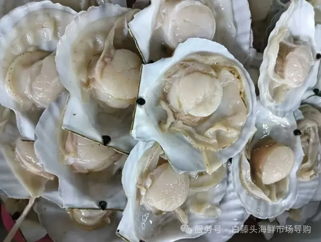珠海白藤头海鲜市场全攻略|10 款平价海鲜闭眼入不踩雷!从选品到加工,手把手教你吃遍鲜货