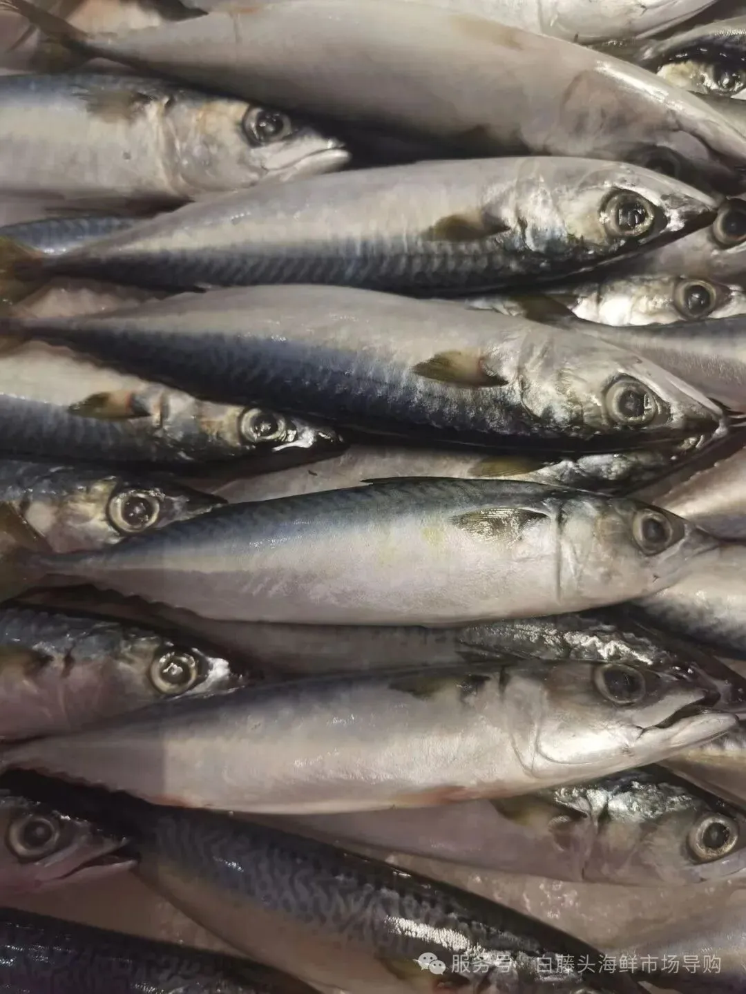 珠海白藤头海鲜市场全攻略|10 款平价海鲜闭眼入不踩雷!从选品到加工,手把手教你吃遍鲜货