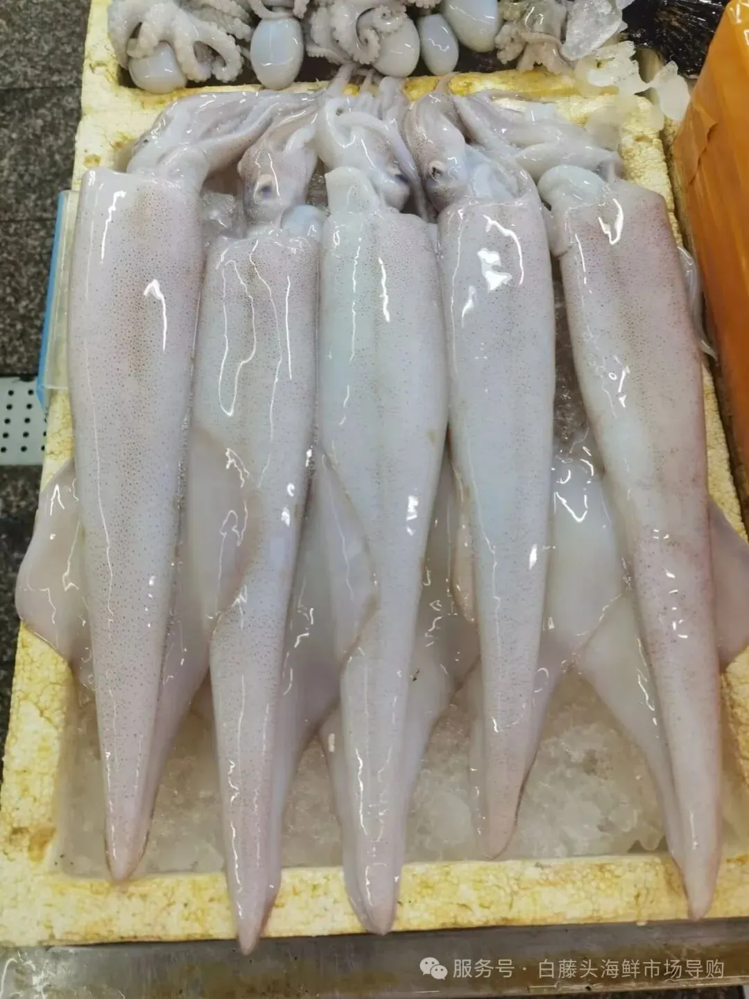 珠海白藤头海鲜市场全攻略|10 款平价海鲜闭眼入不踩雷!从选品到加工,手把手教你吃遍鲜货