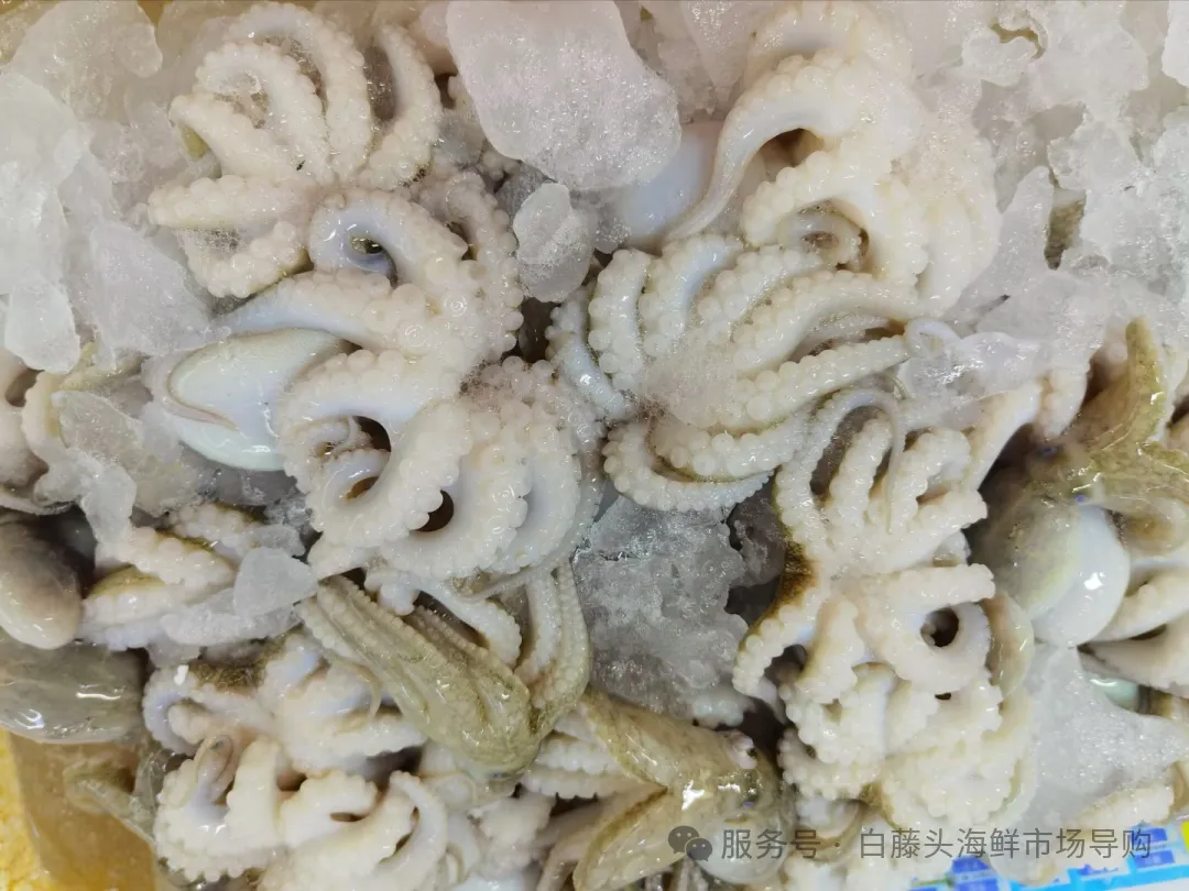 珠海白藤头海鲜市场全攻略|10 款平价海鲜闭眼入不踩雷!从选品到加工,手把手教你吃遍鲜货