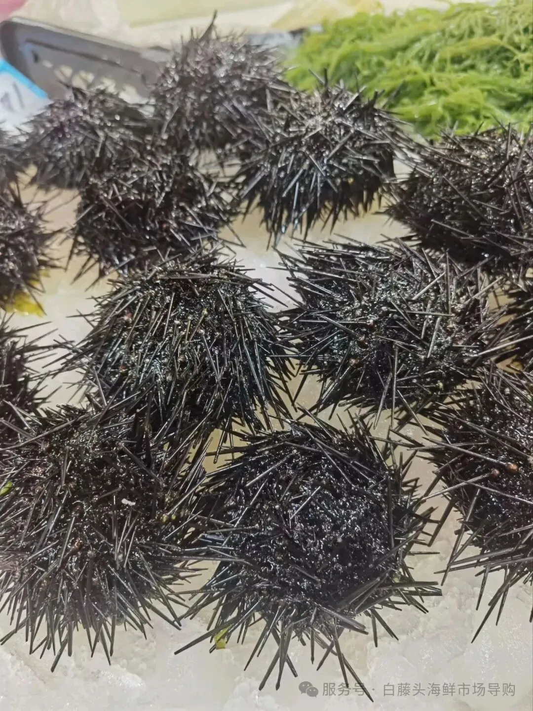 珠海白藤头海鲜市场全攻略|10 款平价海鲜闭眼入不踩雷!从选品到加工,手把手教你吃遍鲜货