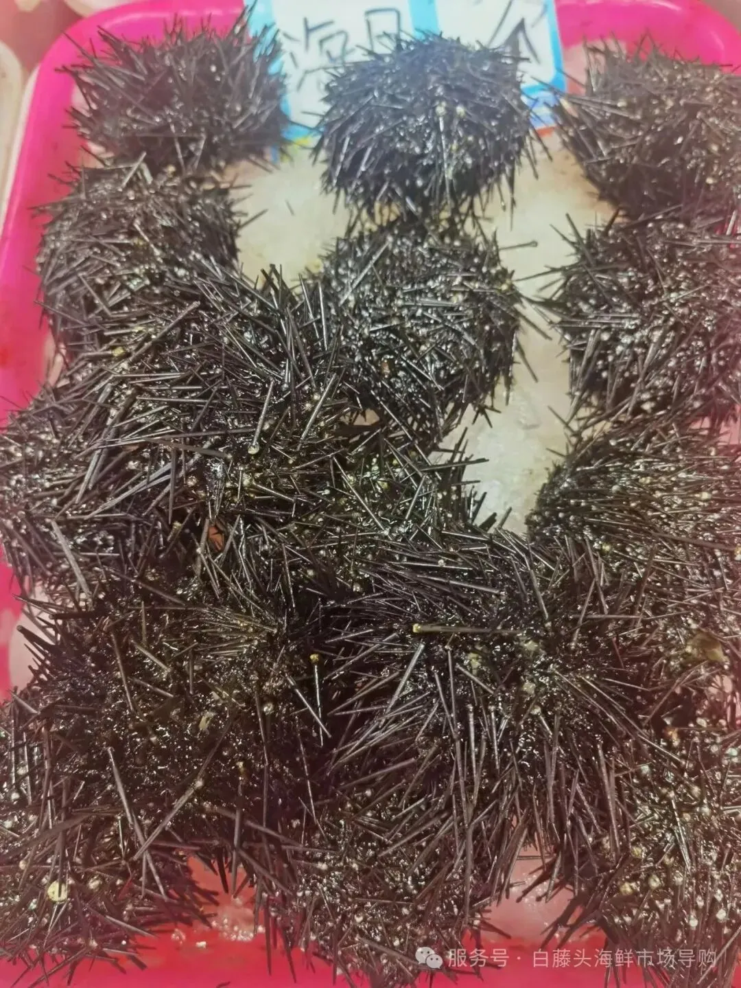 珠海白藤头海鲜市场全攻略|10 款平价海鲜闭眼入不踩雷!从选品到加工,手把手教你吃遍鲜货