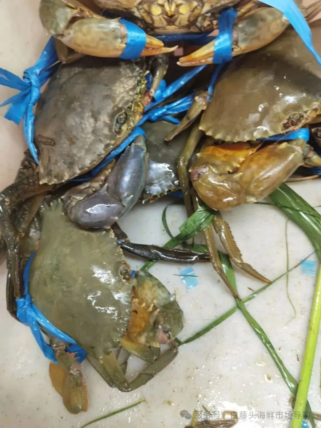 珠海白藤头海鲜市场全攻略|10 款平价海鲜闭眼入不踩雷!从选品到加工,手把手教你吃遍鲜货