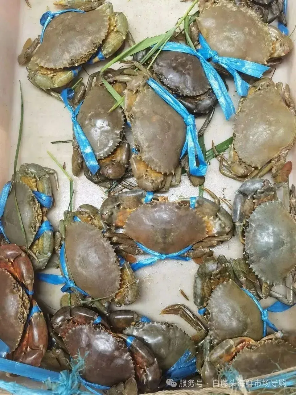 珠海白藤头海鲜市场全攻略|10 款平价海鲜闭眼入不踩雷!从选品到加工,手把手教你吃遍鲜货