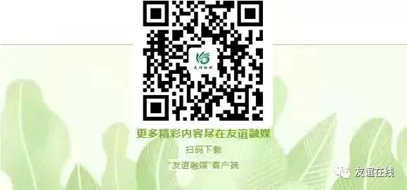 【优环境“友”出发】友谊县市场监督管理局:规范代理机构备案 护航县域经济发展