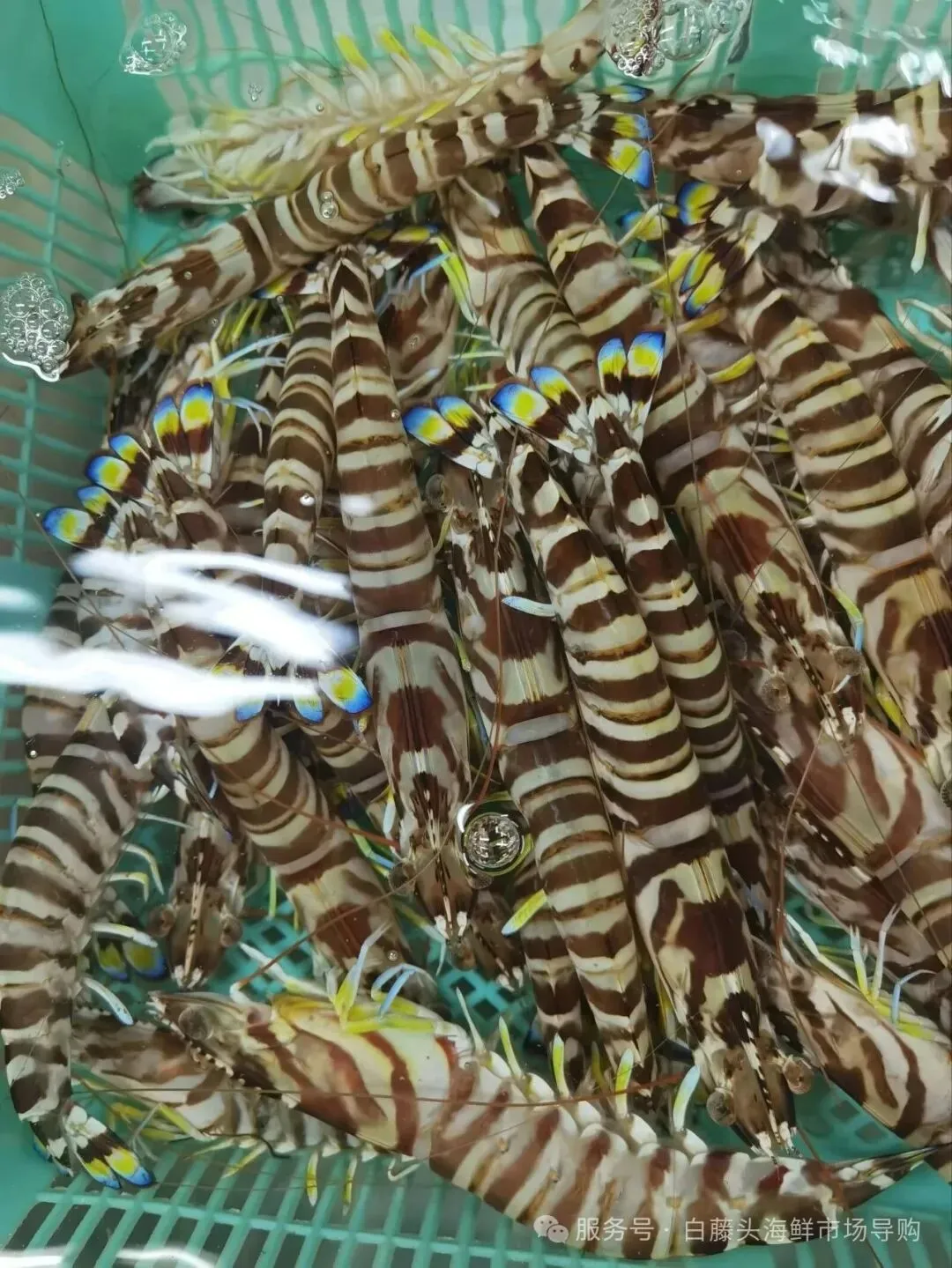 珠海白藤头海鲜市场全攻略|10 款平价海鲜闭眼入不踩雷!从选品到加工,手把手教你吃遍鲜货