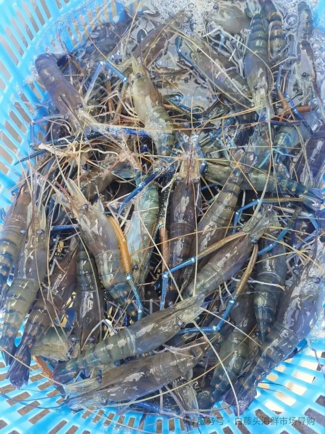 珠海白藤头海鲜市场全攻略|10 款平价海鲜闭眼入不踩雷!从选品到加工,手把手教你吃遍鲜货