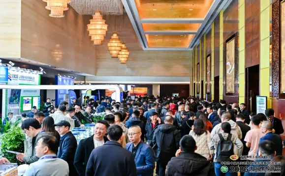 2026年全球轮胎与橡胶胶管市场格局、进出口趋势分析