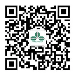 2026年全球轮胎与橡胶胶管市场格局、进出口趋势分析