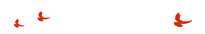 市场一科党支部开展“党旗引领护市场 环境整治我先行”主题党日活动